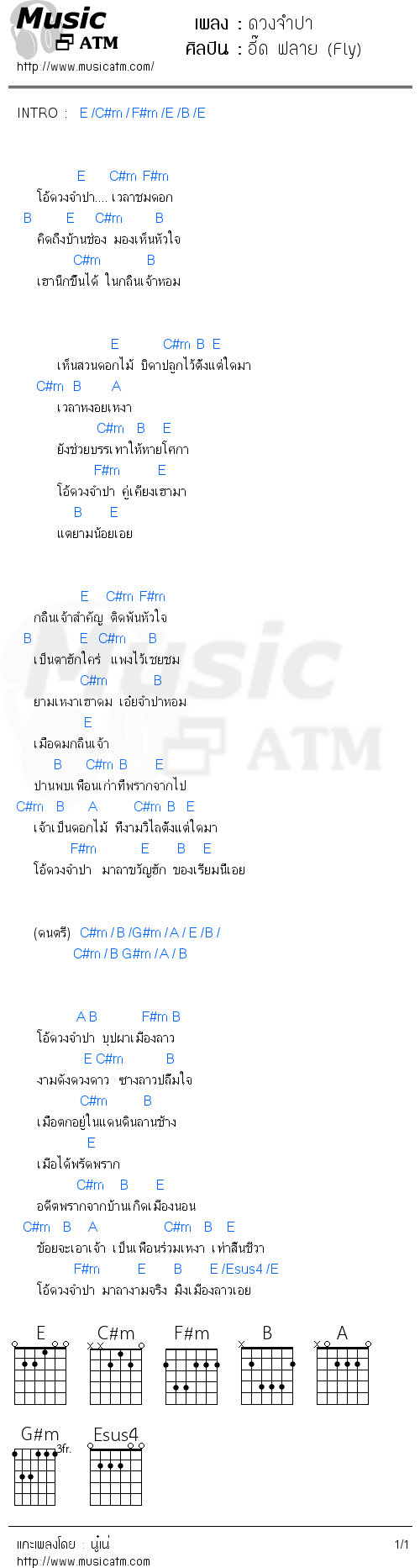 คอร์ดเพลง ดวงจำปา - อี๊ด ฟลาย (Fly) | คอร์ดเพลงใหม่