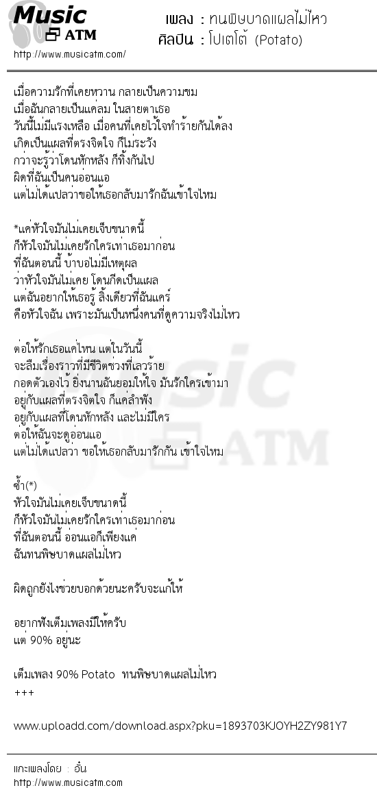 เนื้อเพลง ทนพิษบาดแผลไม่ไหว - โปเตโต้ (Potato) | เพลงไทย